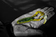 Case Buzzin Frog