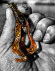 Case Curly Craw