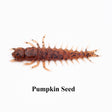 Pumpkin Seed