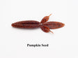 Pumpkin Seed