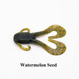Watermelon Black Seed