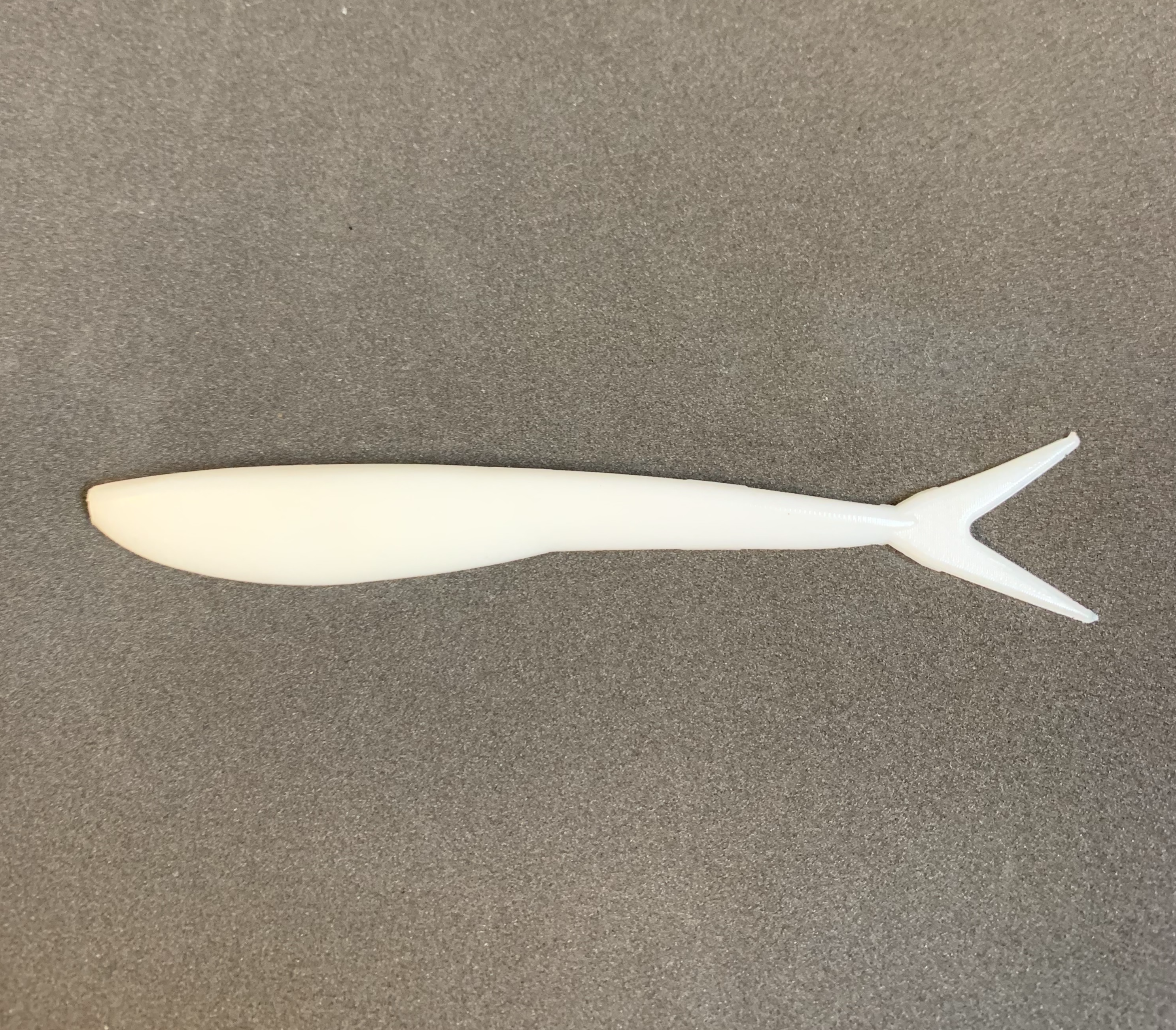Case 4" Italo's Minnow